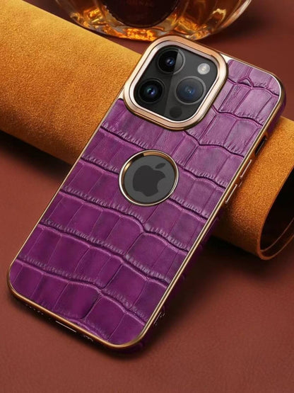 Luxury quality Business Case for iPhone